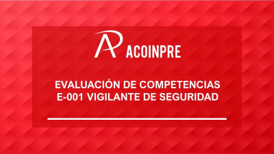 E-001 VIGILANTE DE SEGURIDAD B1 V2