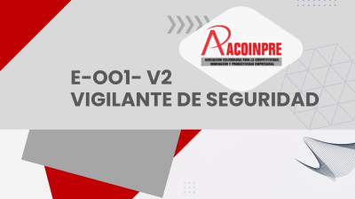 E-001 ESQUEMA VIGILANTE DE SEGURIDAD V2